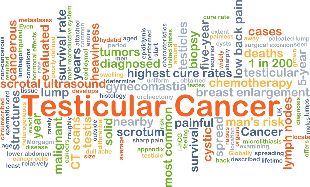 fertility pelvic scan