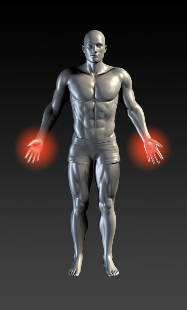 fertility pelvic scan