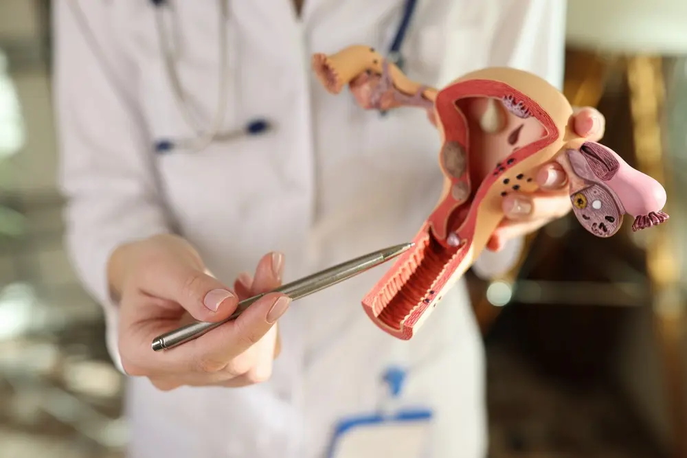 Endometrial Thickness Scan